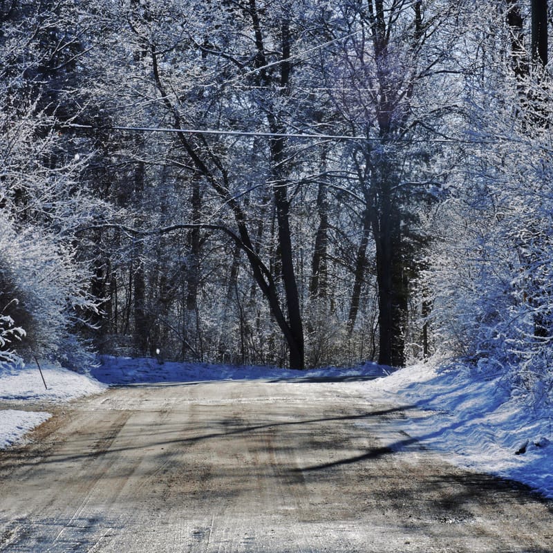 A wet dirt road cuts through frost-coated trees under deep blue winter light