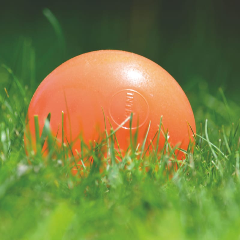 Orange ball resting low in green grass, sunlit with dark blurred background
