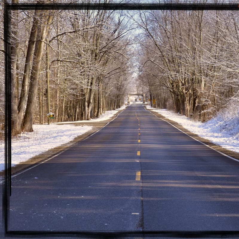 A snow-lined paved road tunnels beneath bare, frosted trees toward a distant overpass