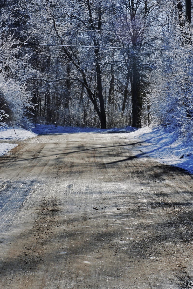 A wet dirt road cuts through frost-coated trees under deep blue winter light